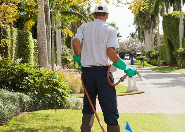 About Rock Hill SC Pest Control Pros